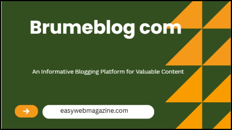 Brumeblog com